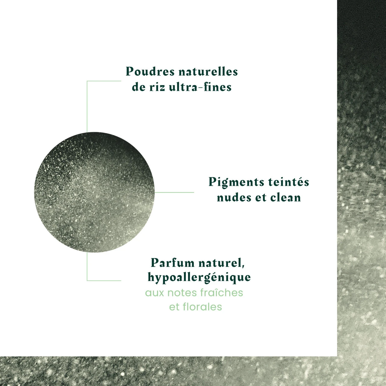 Shampooing Sec Naturia René Furterer 200ml – Image 6