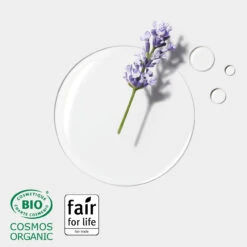 Shampooing Sec Naturia René Furterer 200ml -Produits de Coiffure Soldes Magasin 3282770152715 Ren Furterer Shampooing sec invisible Shampoing sec naturel NATURIA 0951410705431200051 40144.1695819811