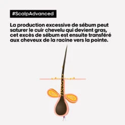 Shampooing Dermo-purifiant Anti Gras Scalp Advanced L'Oréal 1500ml -Produits de Coiffure Soldes Magasin 3474637106416 4 47452.1684847766