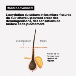 Shampooing Anti-Inconfort Scalp Advanced L'Oréal 1500ml -Produits de Coiffure Soldes Magasin scalp adavanced antiinconfort 17500.1684847770