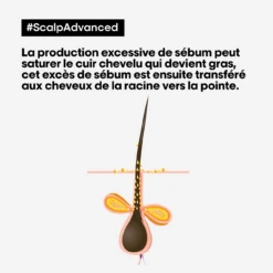 Shampooing Dermo-Purifiant Anti Gras Scalp Advanced L'Oréal 500ml -Produits de Coiffure Soldes Magasin scalp advanced anti gras se bum 13592.1684847787